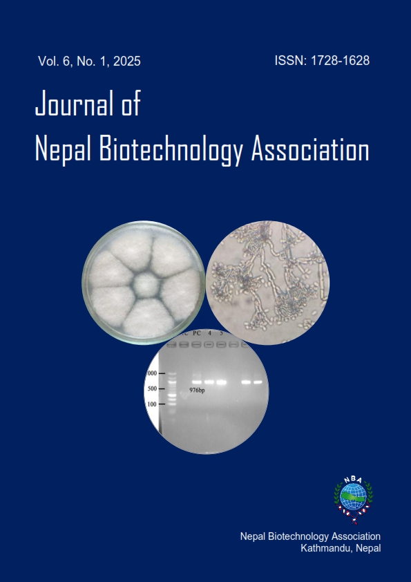 Cover JNBA